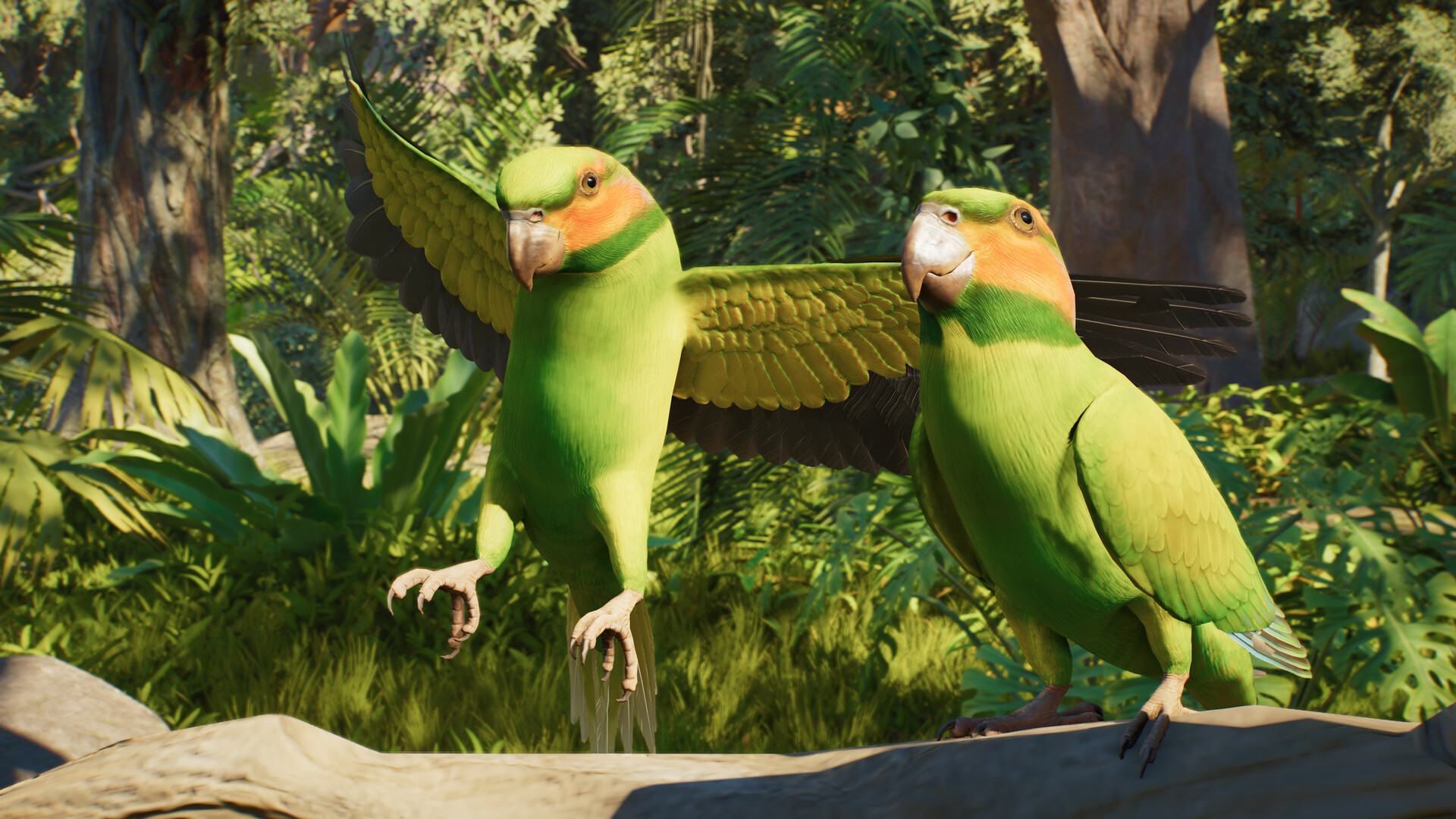 Two colourful birds in an official Planet Zoo 2 screenshot