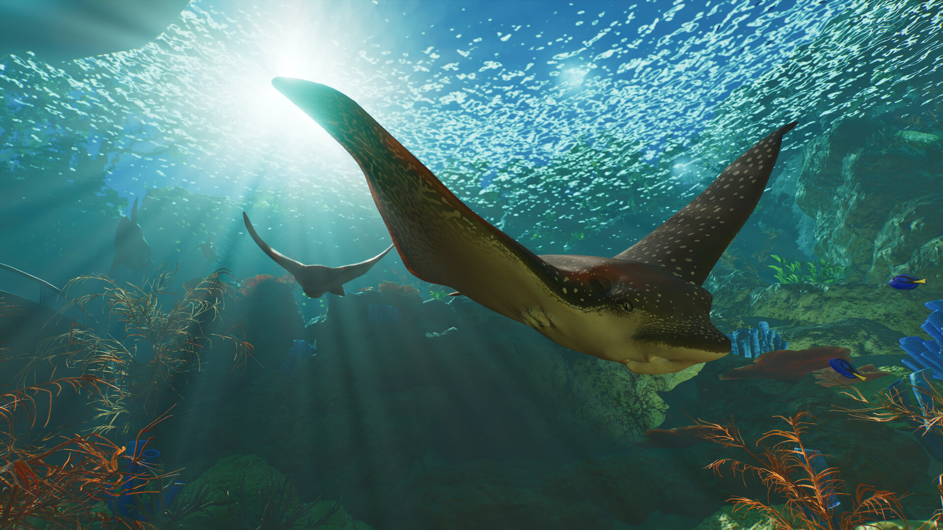 Large ray swimming in an official Planet Zoo 2 aquarium screenshot
